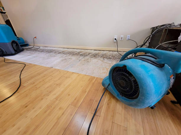 Professional Structural Drying technician working in Columbus, MI